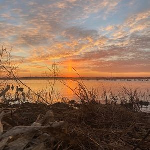 Meet your Posher, Richard